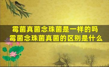 霉菌真菌念珠菌是一样的吗 霉菌念珠菌真菌的区别是什么
